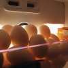 Eggs by Jack Brodus via Flickr