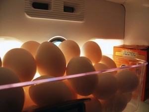 Eggs by Jack Brodus via Flickr