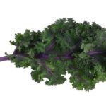 Red kale