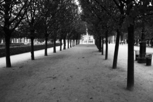 A Quiet Place in Paris by Alias Rex via Flickr (Creative Commons license)